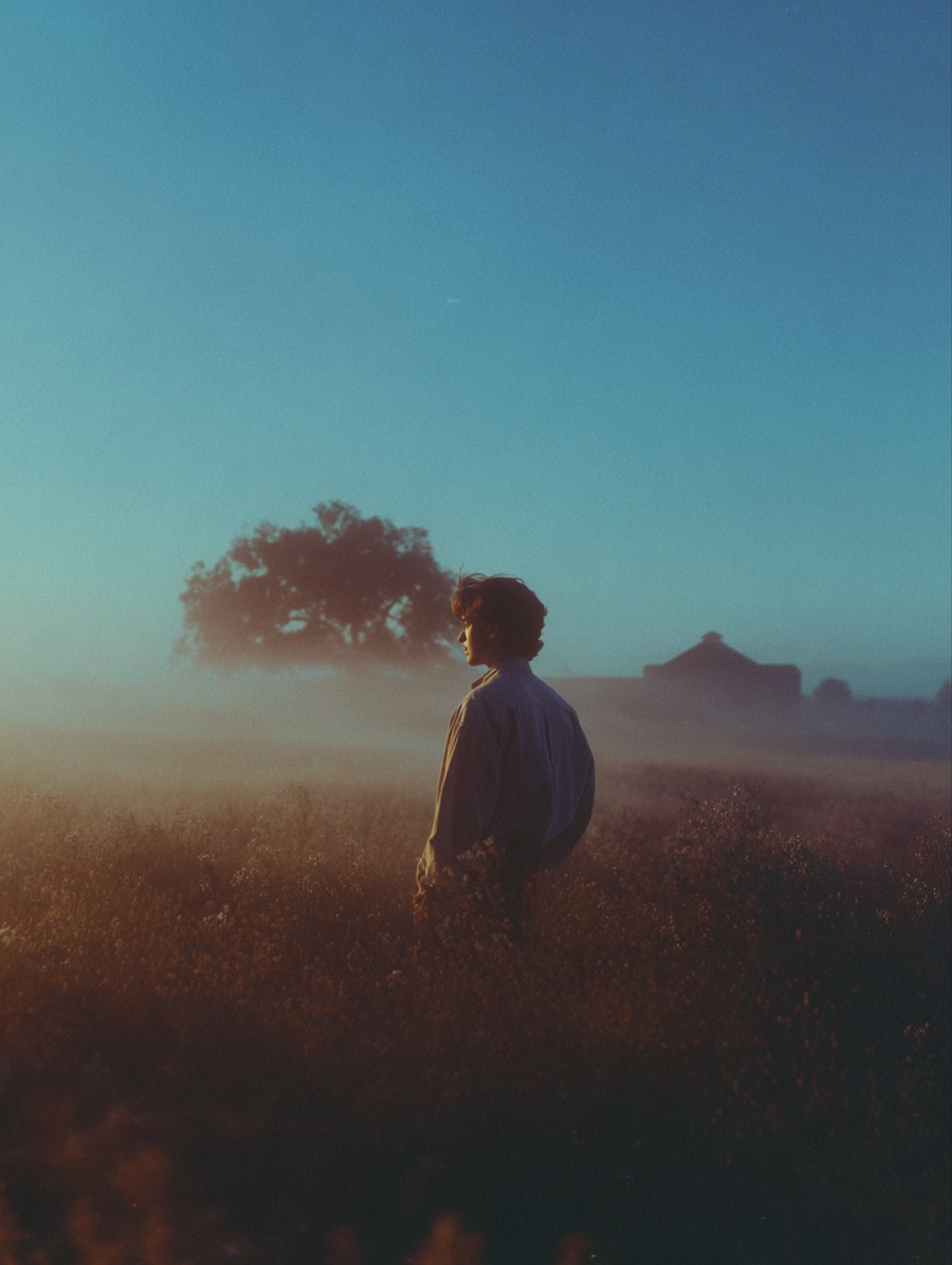 Golden hour portrait reference 2